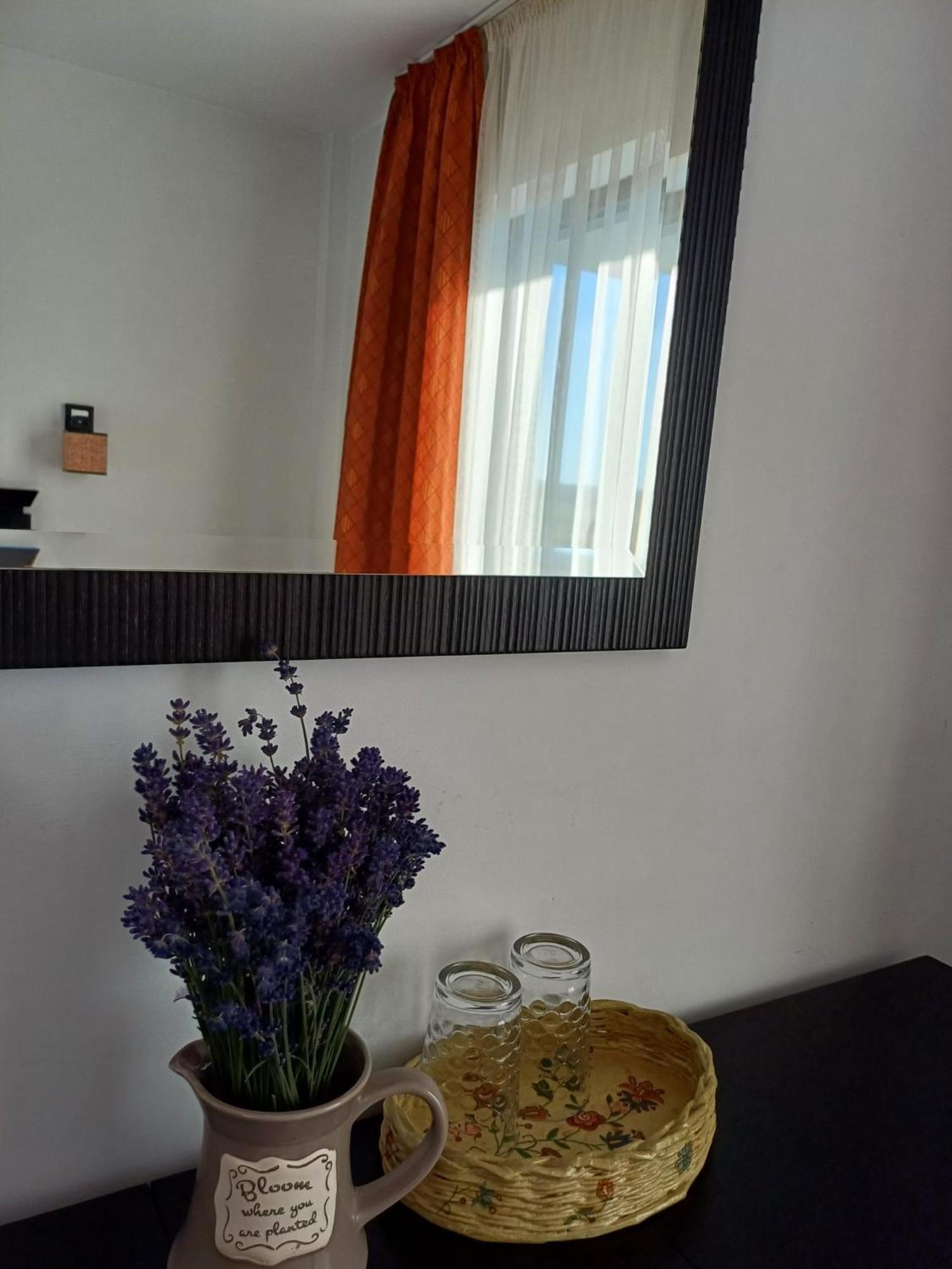 Hotel Dragomirna Sunset Mitocu Dragomirnei Zewnętrze zdjęcie